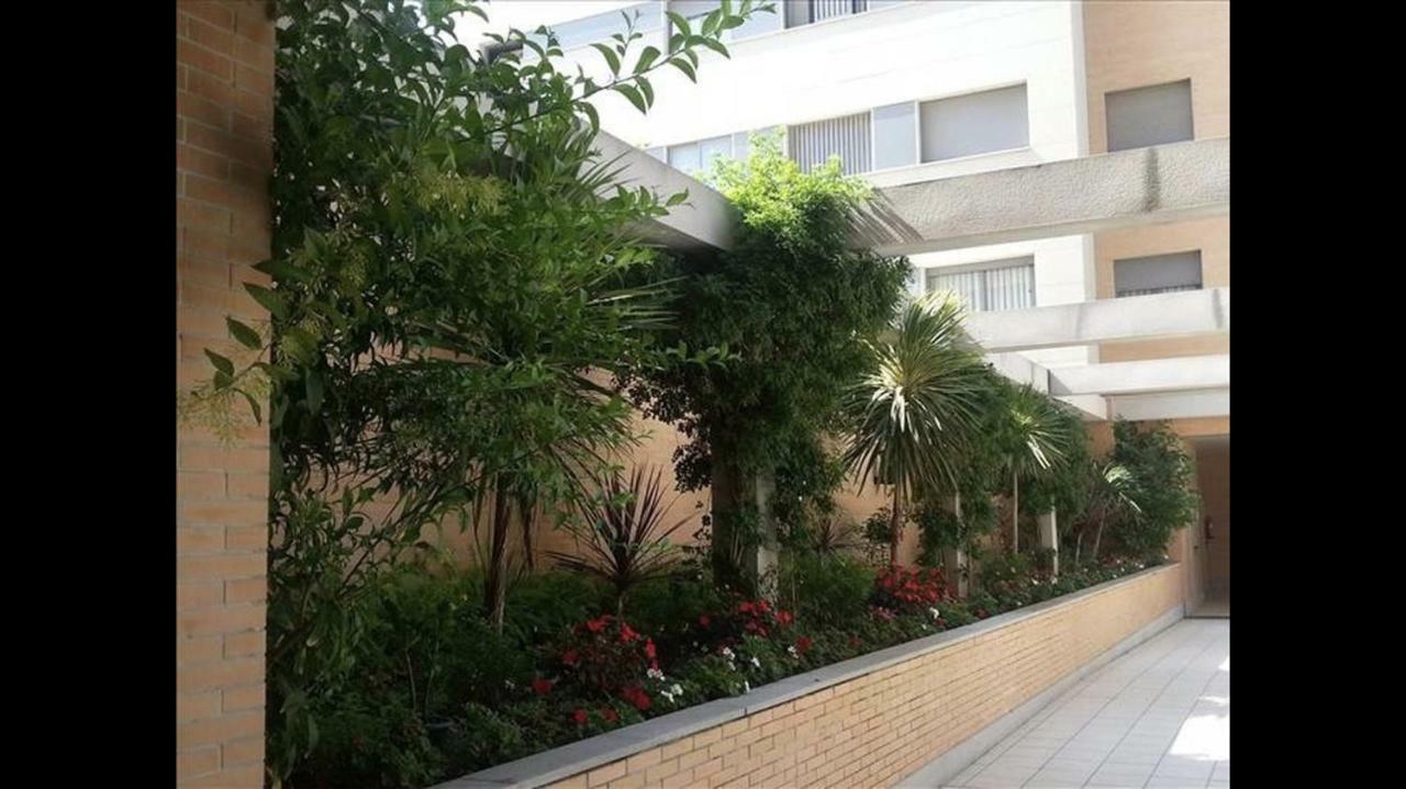 Apartamento Playa Y Piscina 1-2 Personas مالقة المظهر الخارجي الصورة